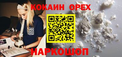 гидра Новозыбков