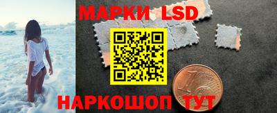 гидра Новозыбков
