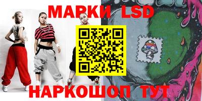 гидра Новозыбков
