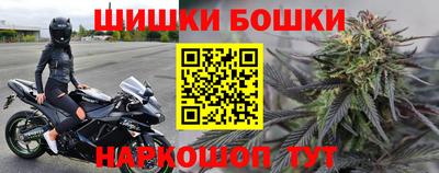 гидра Новозыбков