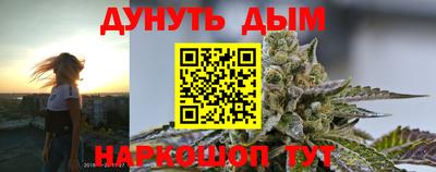 a pvp Новодвинск