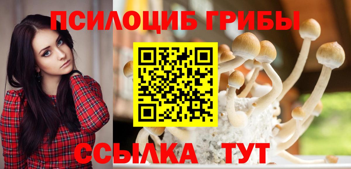 Пенза  Псилоцибиновые грибы прущие грибы  Вход с VPN 